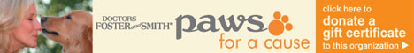 paws-for-a-cause-468