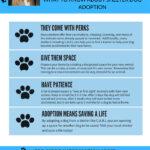 alison_kusay_shelter_dog_adoption