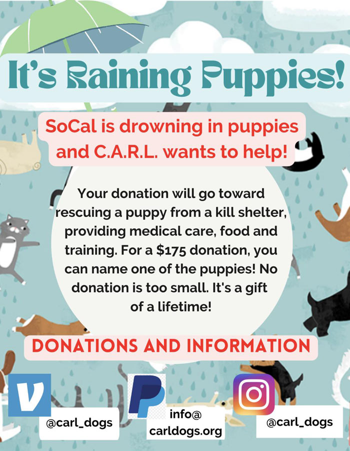 puppy_fundraiser_flyer