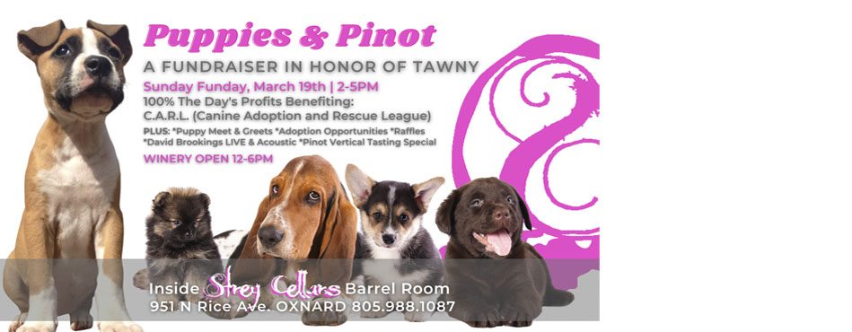 Home -Canine Adoption and Rescue League (.L.) | Saving all breeds  since 1996 from Ventura, California