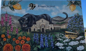 briggs_school