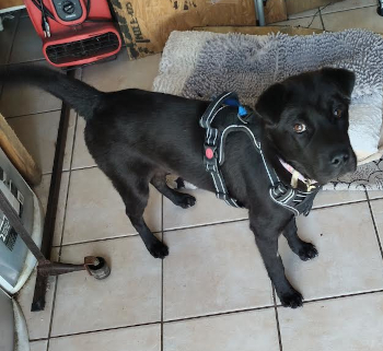 berri_courtesylisting