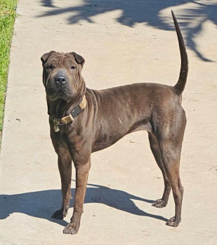 edie_courtesylisting