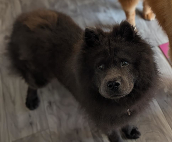 kaliya_courtesylisting