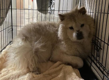 richie_courtesylisting