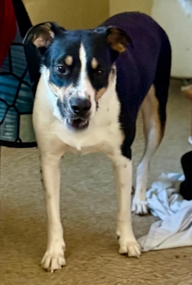 calvin2_courtesylisting