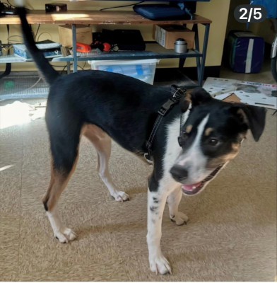 calvin3_courtesylisting