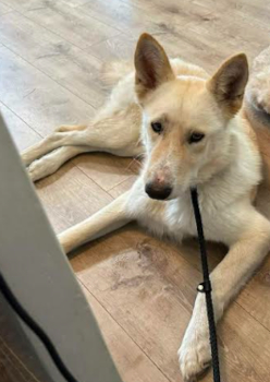 crouton2_courtesylisting