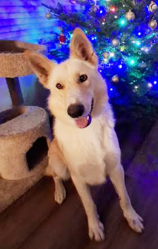 crouton3_courtesylisting