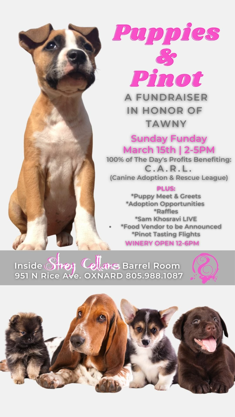 puppies_and_pinot_3_15_26