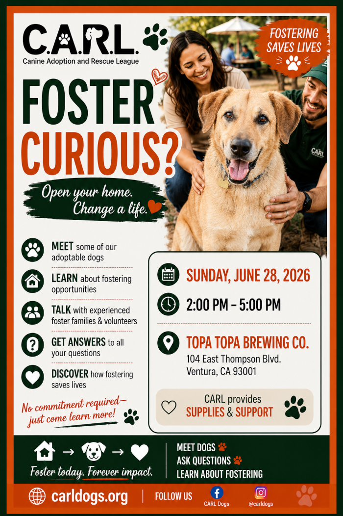 foster_curious_6_21_26