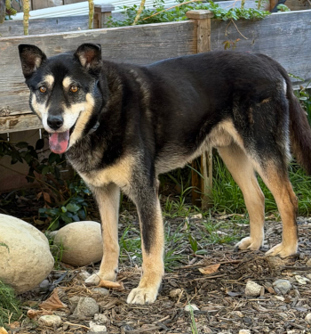 buster1_courtesylisting