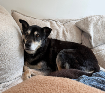 buster2_courtesylisting